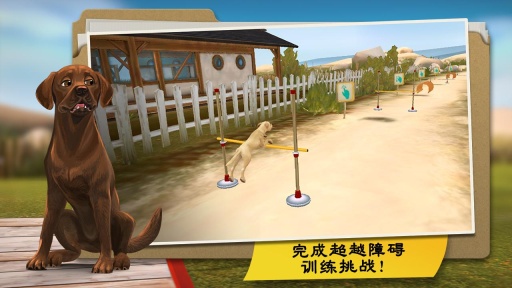 狗狗旅馆手机版 狗狗旅馆游戏下载