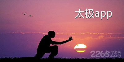 太极app