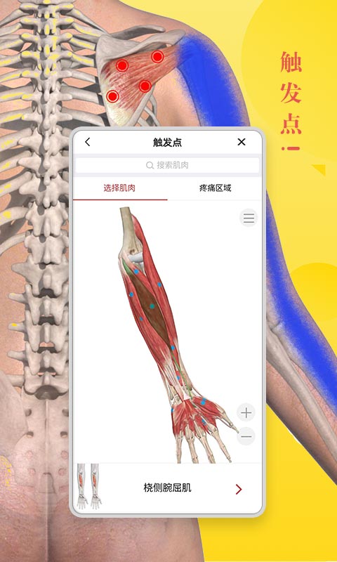 老版安卓3dbody 3dbody历史版本下载