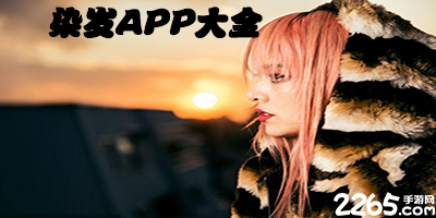 染发app