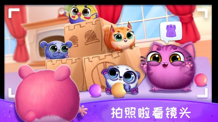 照顾宠物成长官方版