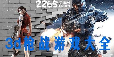 3d枪战游戏