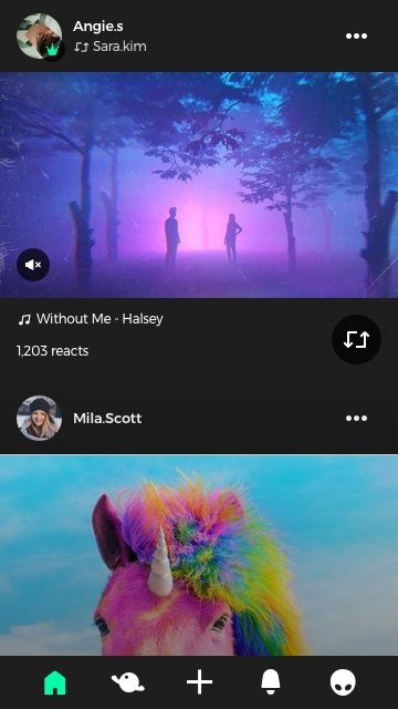 groovo app