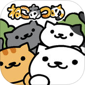 收集猫猫中文版
