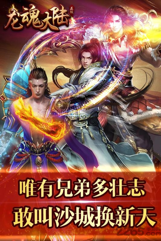 龙魂大陆满v版