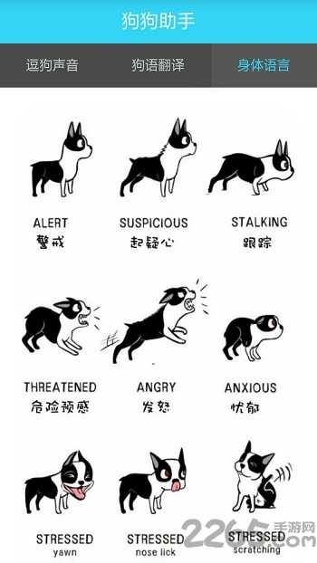 人狗交流器app