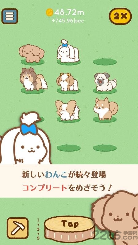狗狗全明星