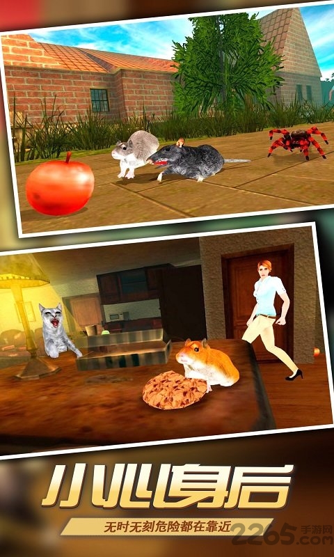 真实老鼠模拟中文版