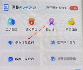 新疆兵团医保参保信息查询方法 新疆兵团医保参保信息查询流程