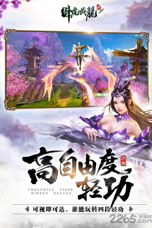 卧虎藏龙2360版手游