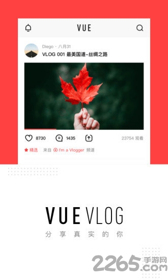 Vue Vlog免费下载