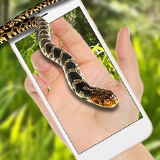 蛇在屏幕上爬手机版