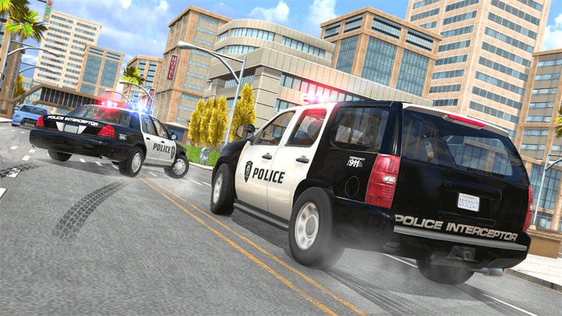 警车巡逻驾驶3d游戏(cop duty)