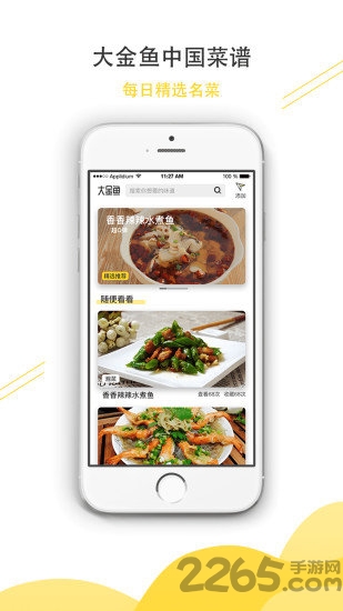 大金鱼app