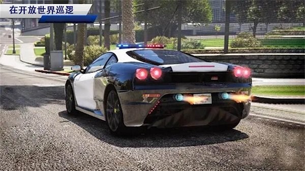 欧洲警车驾驶模拟最新版 欧洲警车驾驶模拟游戏下载