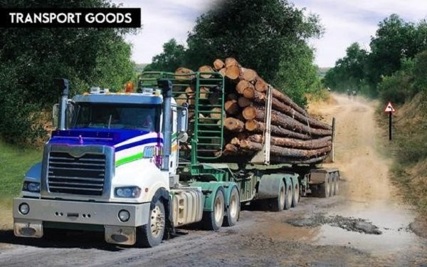 重型货车模拟器游戏(long cargo truck)