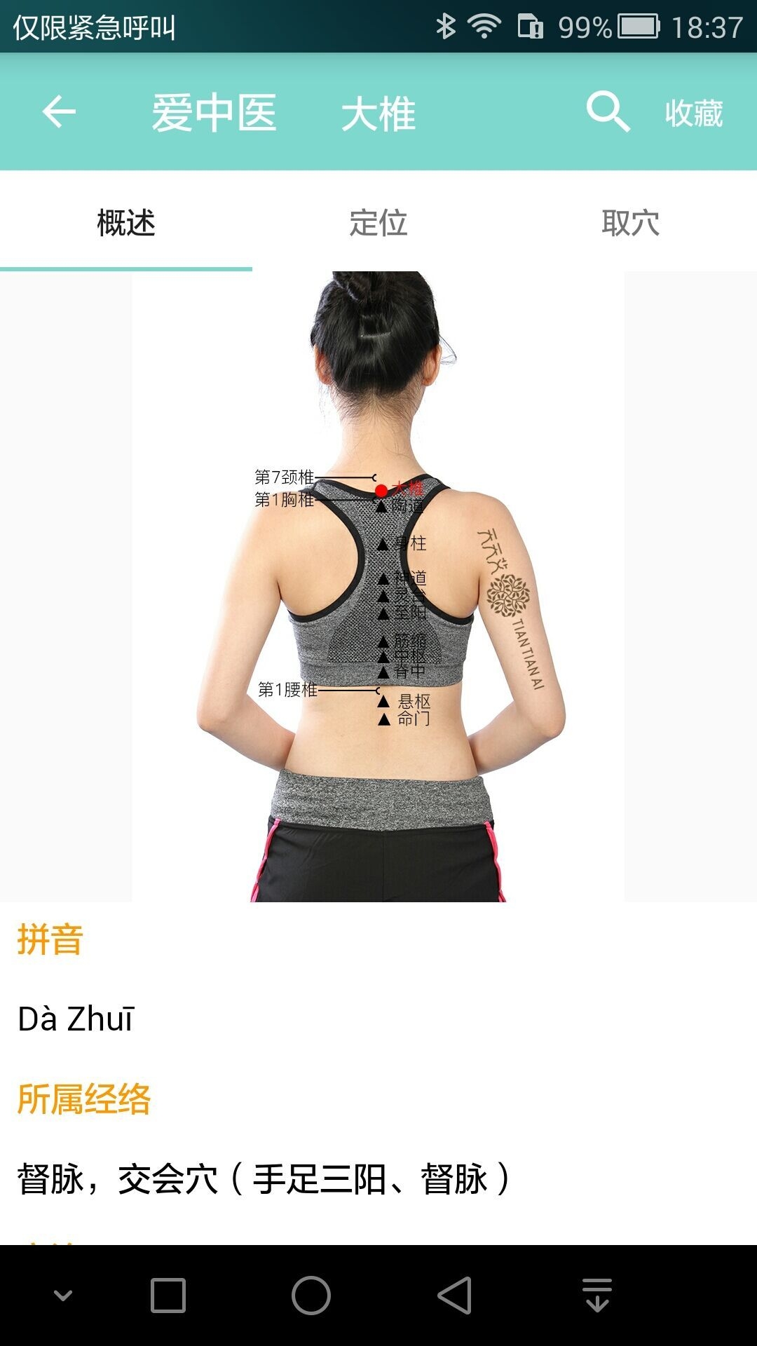 爱中医app