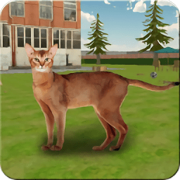 疯狂的猫与老鼠手游