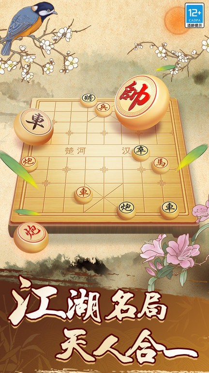 天天玩象棋手机版