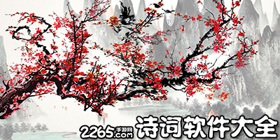 诗词软件