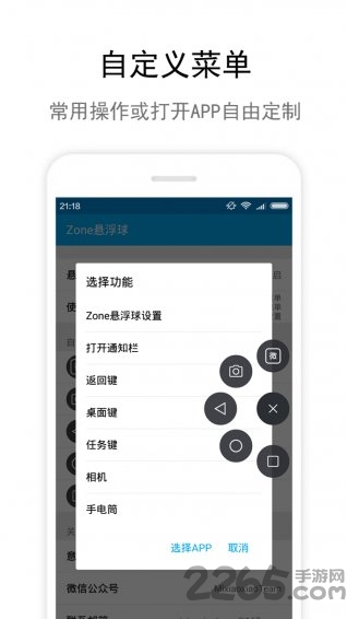 Zone悬浮球软件