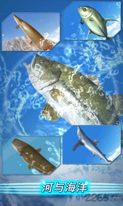垂钓季节钓鱼达人最新版 垂钓季节钓鱼达人游戏下载