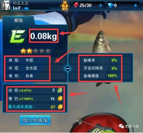钓鱼大咖钓鱼怎么玩 钓鱼大咖钓鱼方法