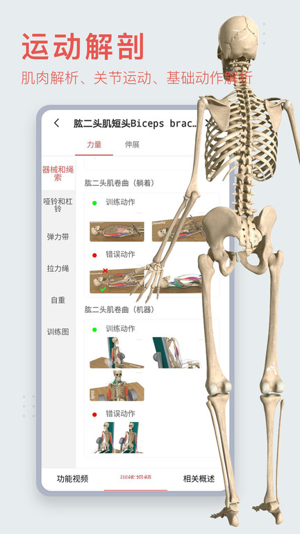 人体解剖3d软件app(改名口袋人体解剖)