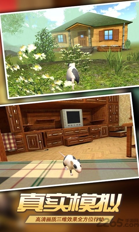 真实老鼠模拟中文版