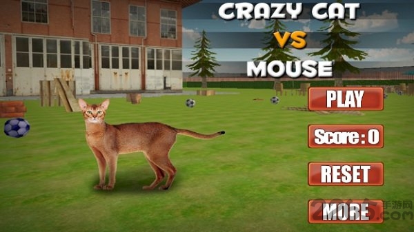 疯狂的猫与老鼠手游