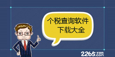个税查询app