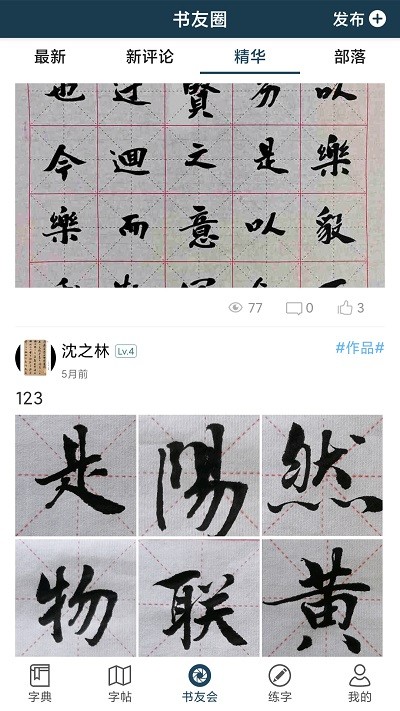 汉字书法字典大全 汉字书法字典下载
