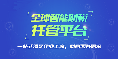 智慧财税软件