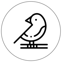 纸上app