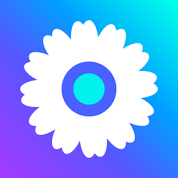 混沌小工菊官方版