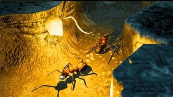 模拟地下蚁国手机版(the ants)