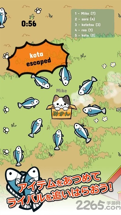 公园里的野猫手机版