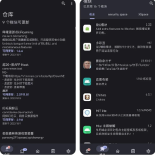 LSP框架安装教程 LSP框架使用教程