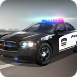警车追逐战小游戏(Police Car Chase)