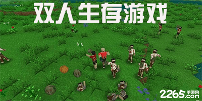双人生存游戏