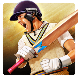 板球世界冠军游戏(cricket world champions)