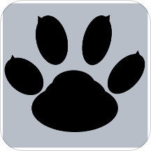 猛兽录音app