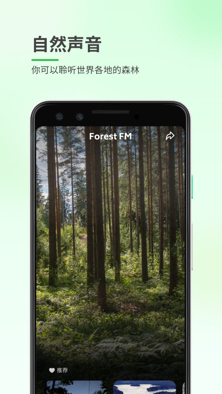 森林白噪音app 森林白噪音安卓版下载
