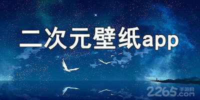 二次元壁纸app