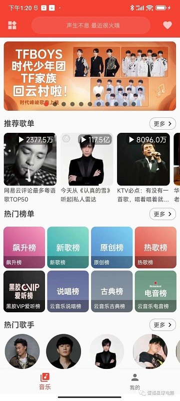 2025蛋播音乐最新版