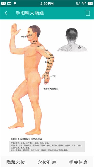 大中医宝典手机版