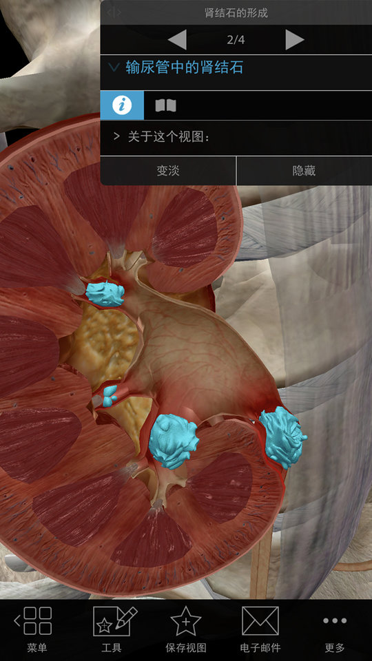 3D生理和病理学软件 3D生理和病理学App下载