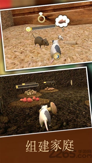 疯狂地鼠3d模拟游戏