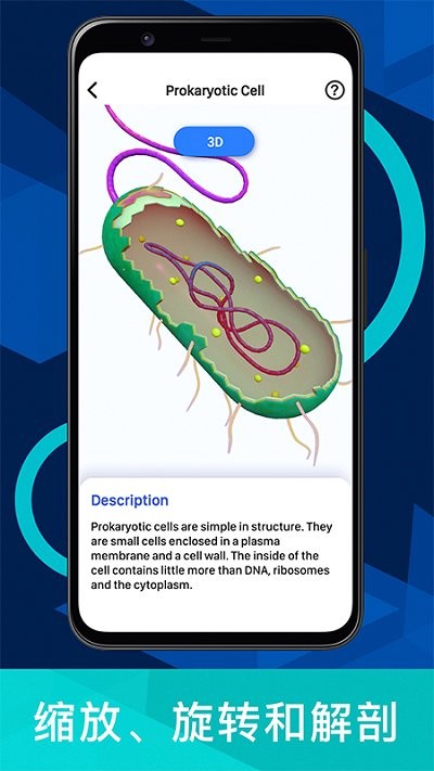 病毒与细菌游戏(bacteria encylopedia)