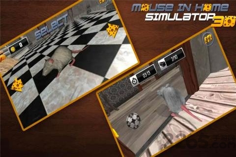 疯狂老鼠王官方下载